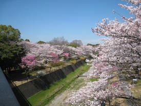 syouwakinenkouen
