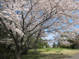 syouwakinenkouen