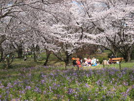 syouwakinenkouen