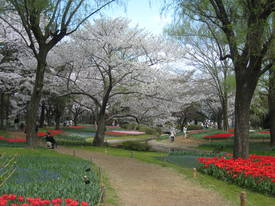 syouwakinenkouen