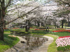 syouwakinenkouen