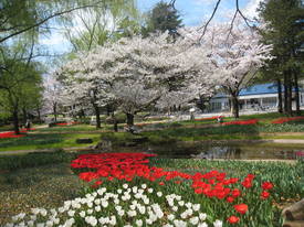 syouwakinenkouen