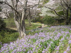 syouwakinenkouen