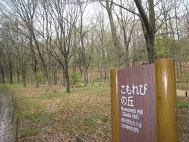 syouwakinenkouen