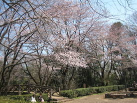 ｋａｔａｋｕｒａ