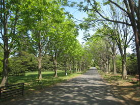 syouwakinenkouen