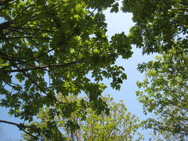 syouwakinenkouen