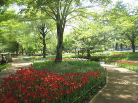 syouwakinenkouen