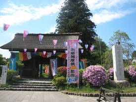 ｓｉｏｆｕｎｅ