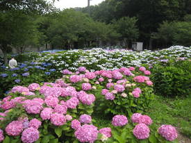 sagamihara