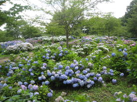 sagamihara