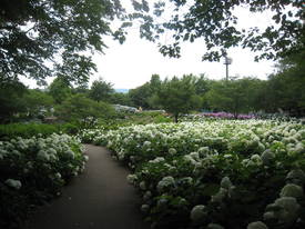 sagamihara