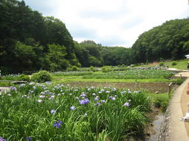 fukiage