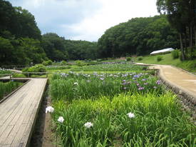 fukiage