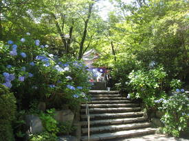 takahatafudou