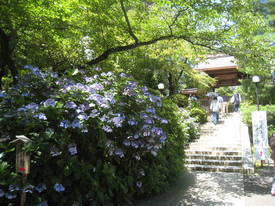takahatafudou