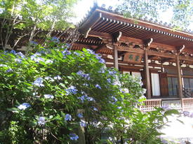takahatafudou