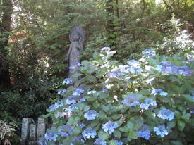 takahatafudou