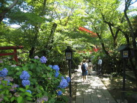 takahatafudou