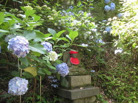 takahatafudou