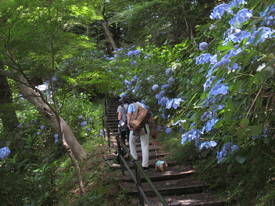 takahatafudou
