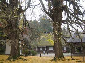 koutokuji