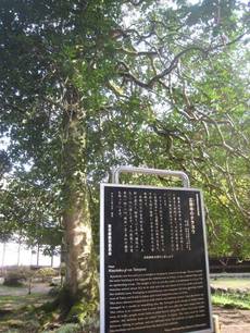 koutokuji