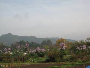 koutokuji