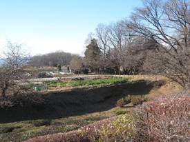 zoukibayasi