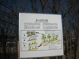 zoukibayasi
