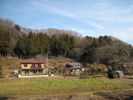 zoukibayasi