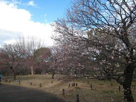 shouwakinenkouen