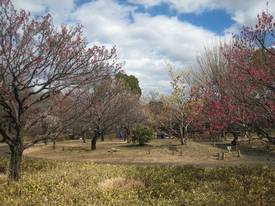 shouwakinenkouen