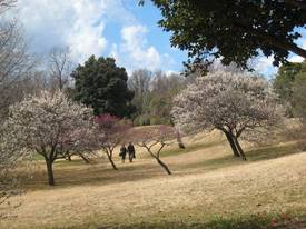 shouwakinenkouen