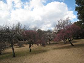 shouwakinenkouen