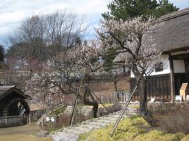 shouwakinenkouen