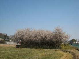 udonogawa