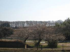 udonogawa