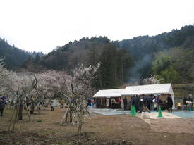 高尾