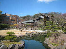 高尾