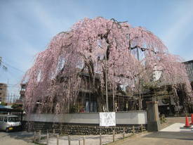 高楽寺