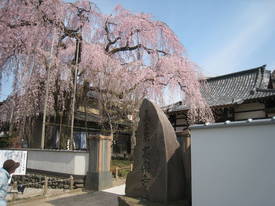高楽寺