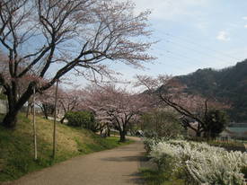 津久井湖