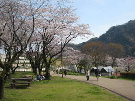 津久井湖