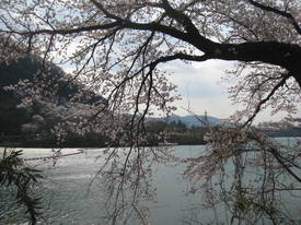 津久井湖