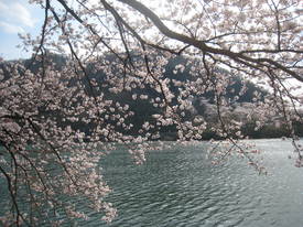 津久井湖