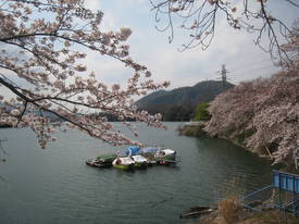 津久井湖