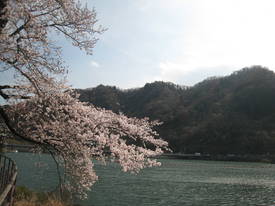 津久井湖