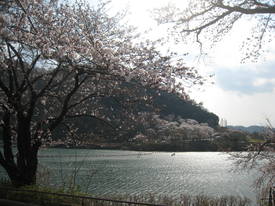 津久井湖