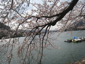 津久井湖